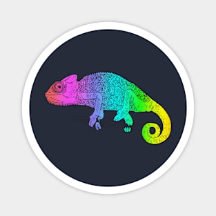 Chameleon Magnet